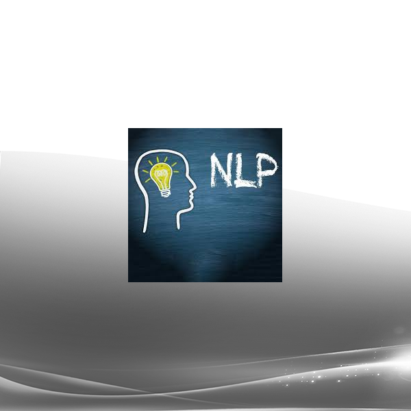 David Snyder - Applied NLP in Business Mastery