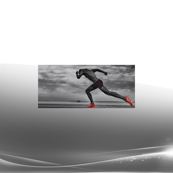 Brain Coach Performance Certification