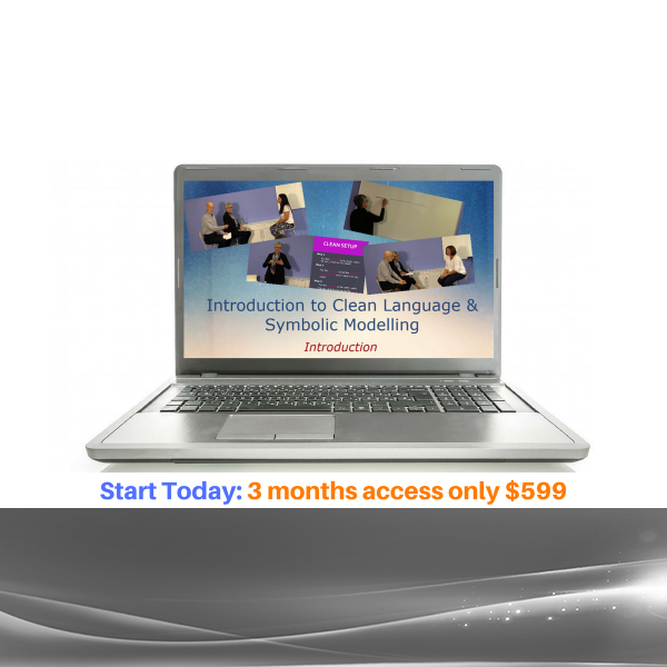 Penny Tompkins & James Lawley - Online Clean Language Training Program
