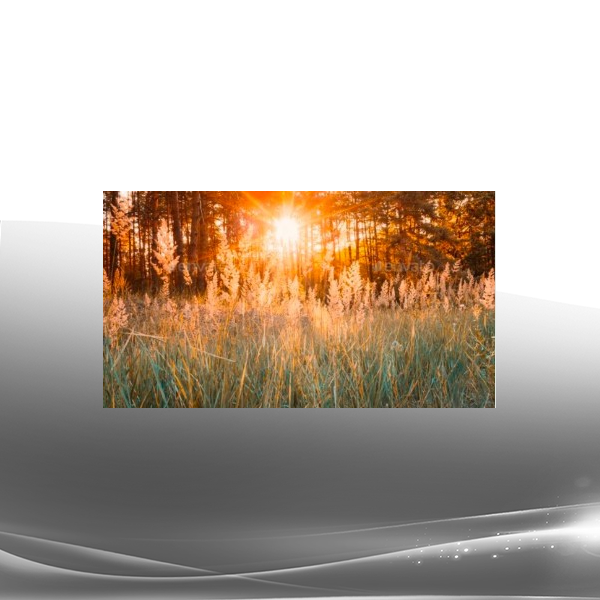 Sarah Kleiner - Sunlight, Water, Circadian Health, Leptin Reset, Cold Therapy Main Courses