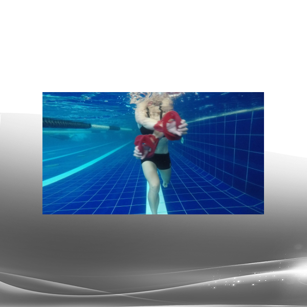 Sport Science Lab - SSL Certification - Poolwork