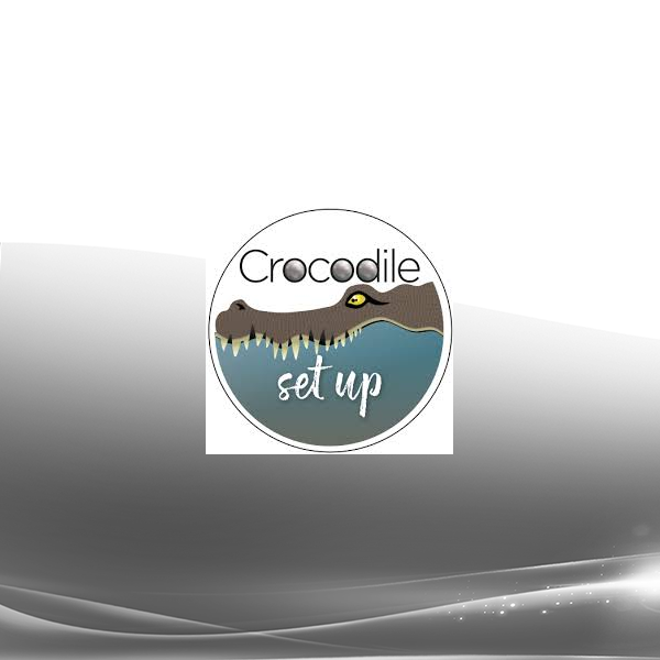 Roby Abeles - Brainspotting and Addictions with the Crocodile Set Up