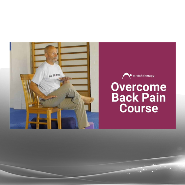 Kit Laughlin - Overcome back pain follow-along programs, for individuals