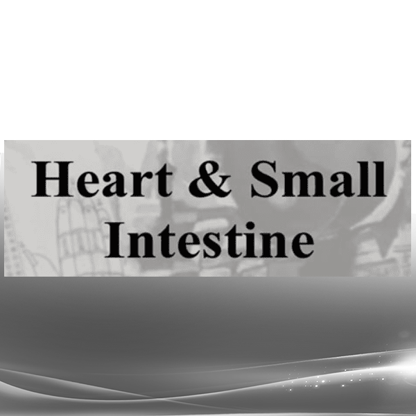 ACCM - Heart & Small Intestine Channels Of Classical Chinese Medicine