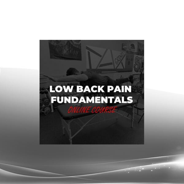 Dr. Michael Mash - Low Back Pain Fundamentals