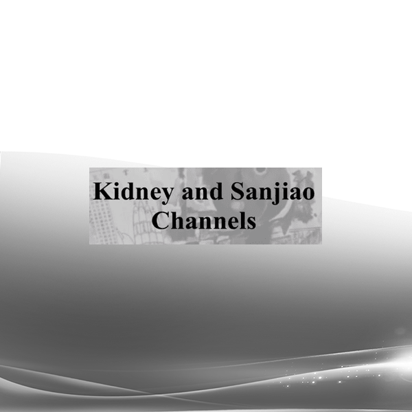 Master Jeffrey Yuen - ACCM - The Kidney & Sanjiao Channels of Classical Chinese Medicine