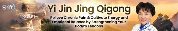 Master Faye Li Yip - Yi Jin Jing Qigong 2025