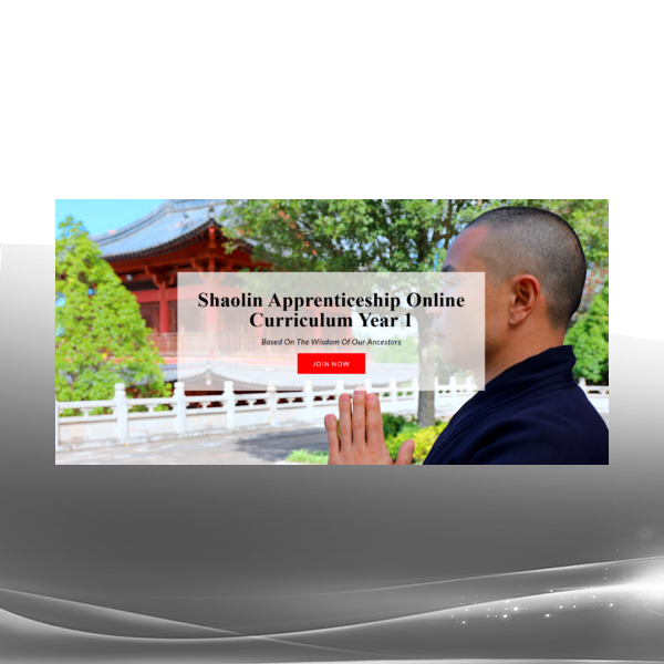 Shaolin Martial Arts Shaolin Apprenticeship Online Year 1 course